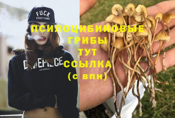apvp Магадан