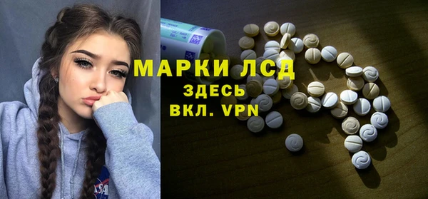 амф Магас