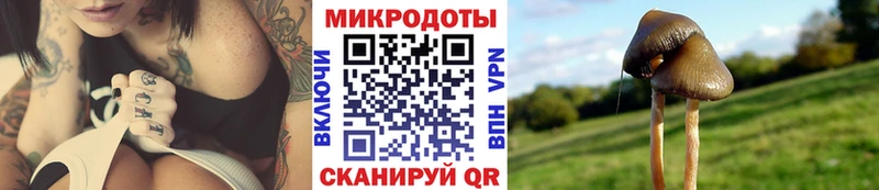 Купить где  Навашино  Псилоцибиновые грибы MAGIC MUSHROOMS 