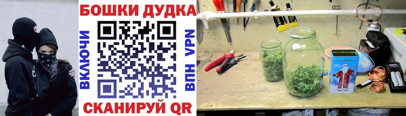 Купить закладки Навашино Марихуана семена
